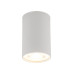 Точковий світильник TK Lighting 5766 Top GU10 1x10W IP20 білий