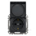Розетка Schneider Electric Sedna Design & Elements з заземленням шторками та кришкою IP44 чорна SDD214024