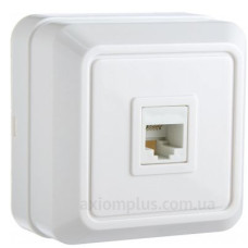 Телефонна розетка Аско-Укрем Ct RJ-12, RJ-45 (РЗtf-1-Ct-W)