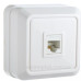 Телефонна розетка Аско-Укрем Ct RJ-12, RJ-45 (РЗtf-1-Ct-W) Телефонна розетка Аско-Укрем Ct RJ-12, RJ-45 (РЗtf-1-Ct-W)