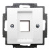 Накладка комп'ютерної розетки ABB Basic 55 2561-94-507 (альпійський білий)