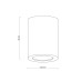 Точковий світильник TK Lighting 10932 Ligno GU10 1x10W IP44 білий