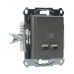 USB розетка Schneider Electric Asfora EPH2700262 (сталь)
