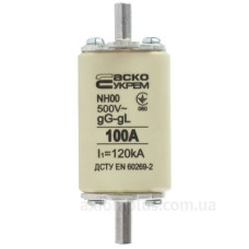 Запобіжник Аско-Укрем NH00 100A gG (A0050010015)