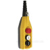 Пульт управління EMAS PV3E30B4 на 3 кнопки (2 кнопки + аварійний стоп D=30mm) 2 швидкості
