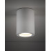 Точковий світильник TK Lighting 10932 Ligno GU10 1x10W IP44 білий