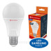 Світлодіодна лампа Electrum Elegant PA LS-33 A60 10Вт Е27 3000K (A-LS-1913)