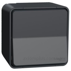 Накладний 1-клавішний вимикач Schneider Electric MUR35021 IP55 (чорний)