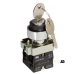 Перемикач IEK LAY5-BG45 на 2 положення з ключем (BSW80-BG-2-K02) Перемикач IEK LAY5-BG45 на 2 положення з ключем (BSW80-BG-2-K02)