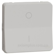 Двополюсний вимикач Schneider Electric MUR39033 IP55 (білий)