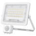 LED прожектор Videx F2e 30Вт 5000K (VL-F2e305W-S) з датчиком руху та освітленості LED прожектор Videx F2e 30Вт 5000K (VL-F2e305W-S) з датчиком руху та освітленості