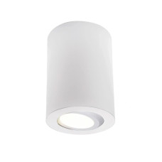 Точковий світильник Oledim 7771614 TS31W ALU GU10 IP54 білий