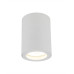 Точковий світильник TK Lighting 10932 Ligno GU10 1x10W IP44 білий