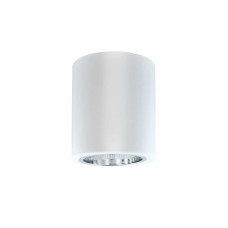 Точковий світильник Goldlux 307170 Jupiter E27 1x20W IP20 білий