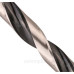 Свердла Bosch 2608577236 PointTeQ HSS 6,8мм (10шт) Свердла Bosch 2608577236 PointTeQ HSS 6,8мм (10шт)
