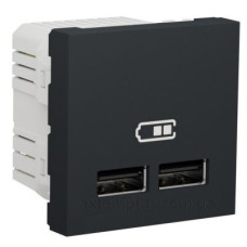 Подвійна USB розетка Schneider Electric NU341854 2.1А 2М (антрацит)