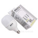 Світлодіодна лампа TNSy LED Bulb-T100-30W-E27-220V-4000K-3150L GOLDEN (TNSy5000259)