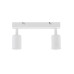 Світильник поворотний, спот TK Lighting 6198 Top GU10 2x10W IP20 білий