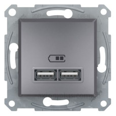 USB розетка Schneider Electric Asfora EPH2700262 (сталь) USB розетка Schneider Electric Asfora EPH2700262 (сталь)