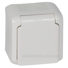 Розетка 2К+З Legrand Forix біла