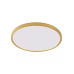Світильник стельовий Zuma Line WM-BP1108-L-G Cami LED 1x48W 3000K/4000K/6000K 3936Lm IP20 золотий (5905316627543)