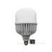 Світлодіодна лампа TNSy LED Bulb-T120-40W-E27-E40-220V-6500K-4200L GOLDEN ALUM (TNSy5000636)