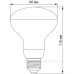 Філаментна фітолампа Videx Filament R80FF E27 9 Вт 1200K (VL-R80FF-09271) для рослин Філаментна фітолампа Videx Filament R80FF E27 9 Вт 1200K (VL-R80FF-09271) для рослин