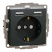 Розетка Schneider Sedna Design ​чорна 1-на з заземленням+ 2-а USB A+A без рамки ( SDD114052 )