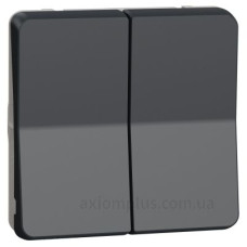 Прохідний 2-клавішний перемикач Schneider Electric MUR35019 (сх.6+6) IP55 (чорний)