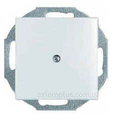 Заглушка ABB Basic 55 2538-94-507 (альпійський білий)