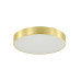 Світильник стельовий Zuma Line MS724-R500-GD Nadi LED 1x50W 3000K-6000K 2400Lm IP44 золотий (5905316665514)