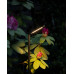 Світильник вуличний стовпчик Nowodvorski 11540 Slim LED 1x7W 3000K 450Lm IP54 чорний