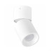 Точковий світильник Goldlux 314239 Nixa GU10 1x10W IP20 білий