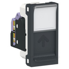 Одинарна комп'ютерна розетка Schneider Electric NU341654 RJ45 cat.6 STP з полем для напису 1М (антрацит) Одинарна комп'ютерна розетка Schneider Electric NU341654 RJ45 cat.6 STP з полем для напису 1М (антрацит)