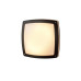 Вуличний світильник Azzardo AZ2186 Fano S LED 1x9W 3000K 582Lm IP54 темно-сірий