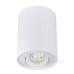 Циліндричний поворотний світильник Down Light Kanlux Bord DLP-50-W (22551) білий Циліндричний поворотний світильник Down Light Kanlux Bord DLP-50-W (22551) білий