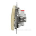 Вимикач Schneider Electric Sedna Design & Elements з підсвіткою береза SDD180101L