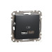 USB-розетка Schneider Electric Sedna Design & Elements A+C 2,4A чорна SDD114402
