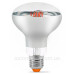 Філаментна фітолампа Videx Filament R80FF E27 9 Вт 1200K (VL-R80FF-09271) для рослин Філаментна фітолампа Videx Filament R80FF E27 9 Вт 1200K (VL-R80FF-09271) для рослин