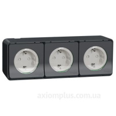 Накладна 3-місна розетка Schneider Electric MUR36038 із з/к та шторками IP55 (чорний)