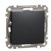 Заглушка Schneider Electric Sedna Design & Elements чорна SDD114904
