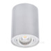 Циліндричний поворотний світильник Down Light Kanlux Bord DLP-50-AL (22550) алюміній