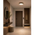 Світильник стельовий TK Lighting 18281 Velis LED 1x24W 3000K/4000K/5500K 1000Lm IP54 коричневий