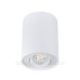 Циліндричний поворотний світильник Down Light Kanlux Bord DLP-50-W (22551) білий Циліндричний поворотний світильник Down Light Kanlux Bord DLP-50-W (22551) білий