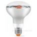 Філаментна фітолампа Videx Filament R80FF E27 9 Вт 1200K (VL-R80FF-09271) для рослин Філаментна фітолампа Videx Filament R80FF E27 9 Вт 1200K (VL-R80FF-09271) для рослин