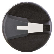 Виносна рукоятка ETI CLBS-EH 80/G для CLBS 16-80А, CD 63-100А чорна (4661415)