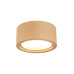 Точковий світильник TK Lighting 10123 Eve GU10 1x10W IP20 бежевий