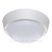 Світильник Philips WT045C LED12/NW PSU CFW 1065мм (911401735842)