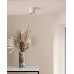 Точковий світильник Goldlux 325389 Xeno GU10 1x10W IP20 білий