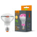 Філаментна фітолампа Videx Filament R80FF E27 9 Вт 1200K (VL-R80FF-09271) для рослин Філаментна фітолампа Videx Filament R80FF E27 9 Вт 1200K (VL-R80FF-09271) для рослин